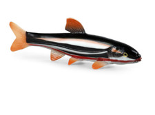 14cm Mini Colorful Fish PVC Toy Ocean Sea Fish Animal Figure Kids Gift 1