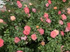 Bild 5 von 6