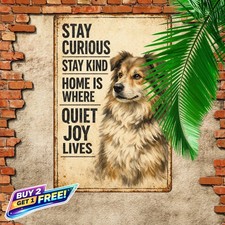 Border Collie Too Hard To Look Back Metal Dog Sign 8x12 Aluminum Plaque