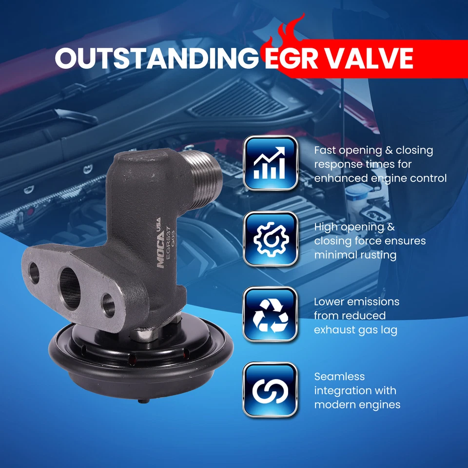 Válvula EGR para Ford Excursion Expedition E-150 E-250 E-350 Econoline F-150 F-250 Foto 3 de 4