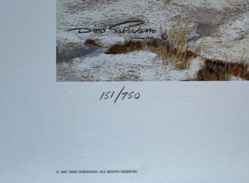 Dino Paravano Rocky Mountain Cougars 151/750 - Picture 2 of 9