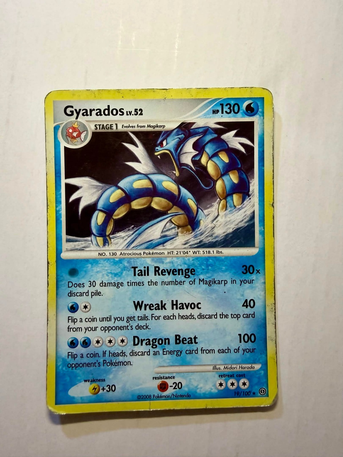 Gyarados Pokemon Card 19/100 Holo Foil Rare HP