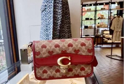Coach Studio Shoulder Bag In Signature Canvas With Heart Print