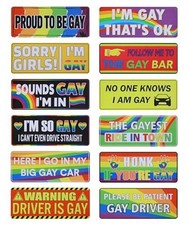 12PCS Funny Car Magnets,Car Accessories Gay Pride Funny Magnets,Gay