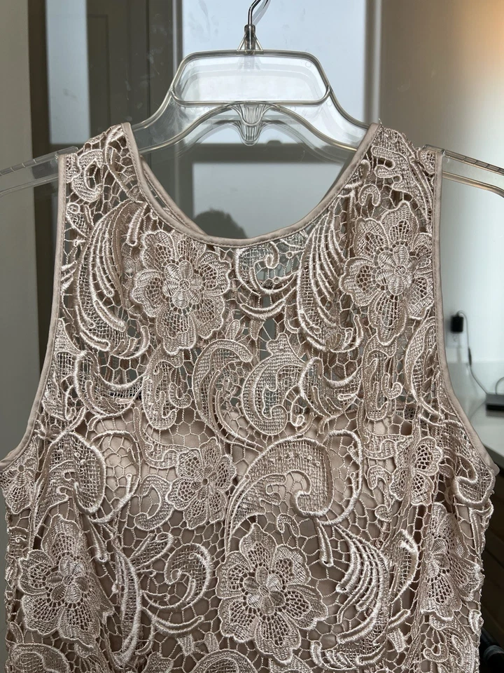Adrianna Papell Women’s Lace Sheath Dress Size 12 Beige Nude Floral Sleeveless - Image 3 of 4