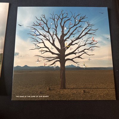 Opposites von Biffy Clyro  (Schallplatte, 2013)