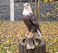 Figur Adler Weißkopfseeadler Skulptur Vogel Gartenfigur Garten 41 cm