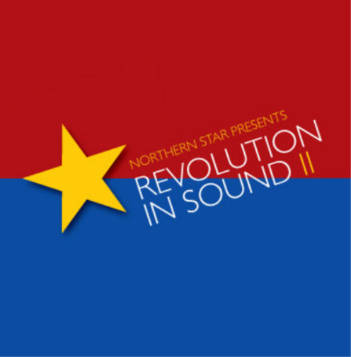 Various Artists Revolution in Sound - Volume II (CD) Album