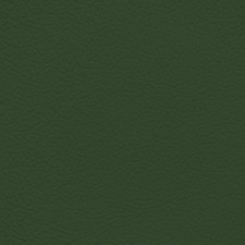 Mercedes Green Leather Dye