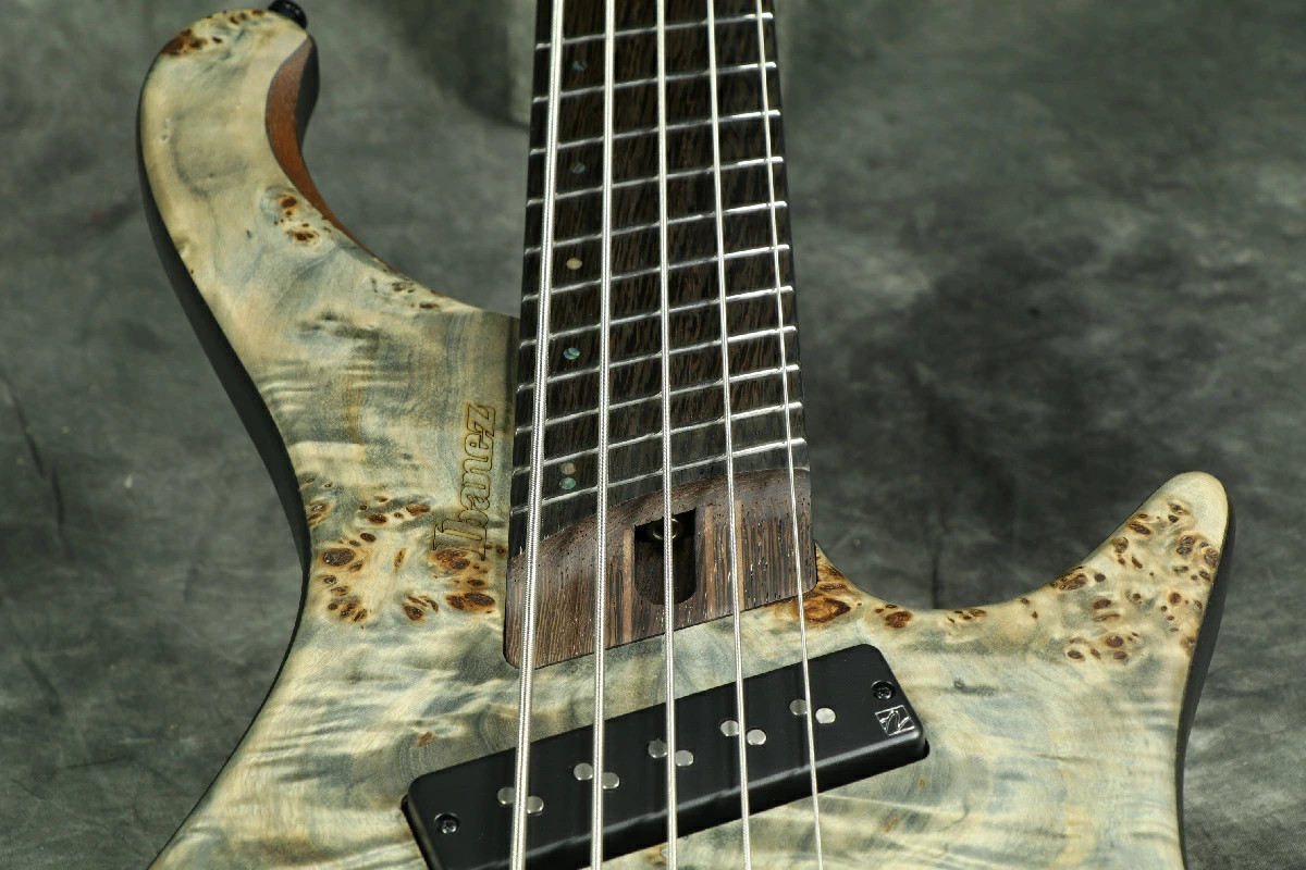 【ほぼ新品】ibanez EHB1505MS BIF Ibanez Bass Workshop EHB1505MS-BIF [SPOT MODEL] ｜イケベ楽器