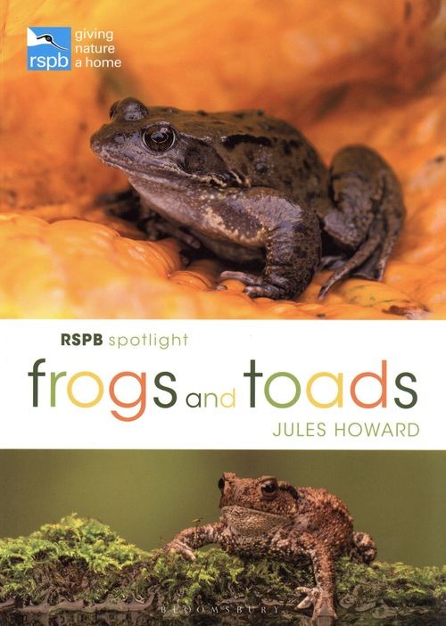 Frogs and Toads