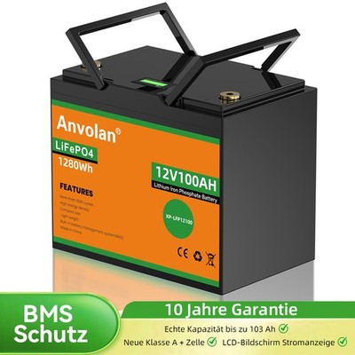 LCD-Anzeige Akku 100Ah 12V LiFePO4 Lithium Batterie mit BMS für Boot/Wohnmobil