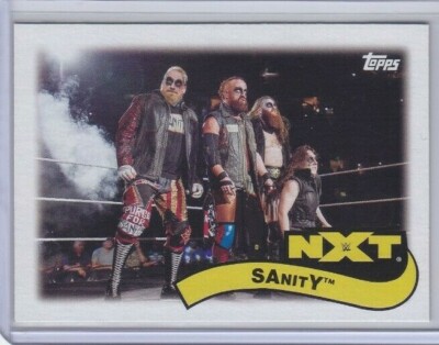 SANITY  (2018 Topps WWE HERITAGE TAG TEAMS STABLES NXT INSERT #TT-18)  