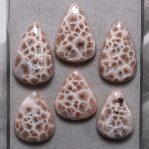 6 PC Natural Thompsonite AAA Quality 20mm-25mm Pear Cabochon Loose Gemstones Lot - Picture 2 of 13