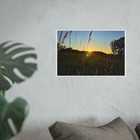 Bild 6 von 13
