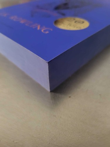 Harry Potter and the Philosopher's Stone Ravenclaw House Edition 1st UK ED/Print - Picture 22 of 37