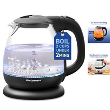 Automatic Shut-Off Black 1L Electric Kettle with Mesh Filter for Easy Pouring