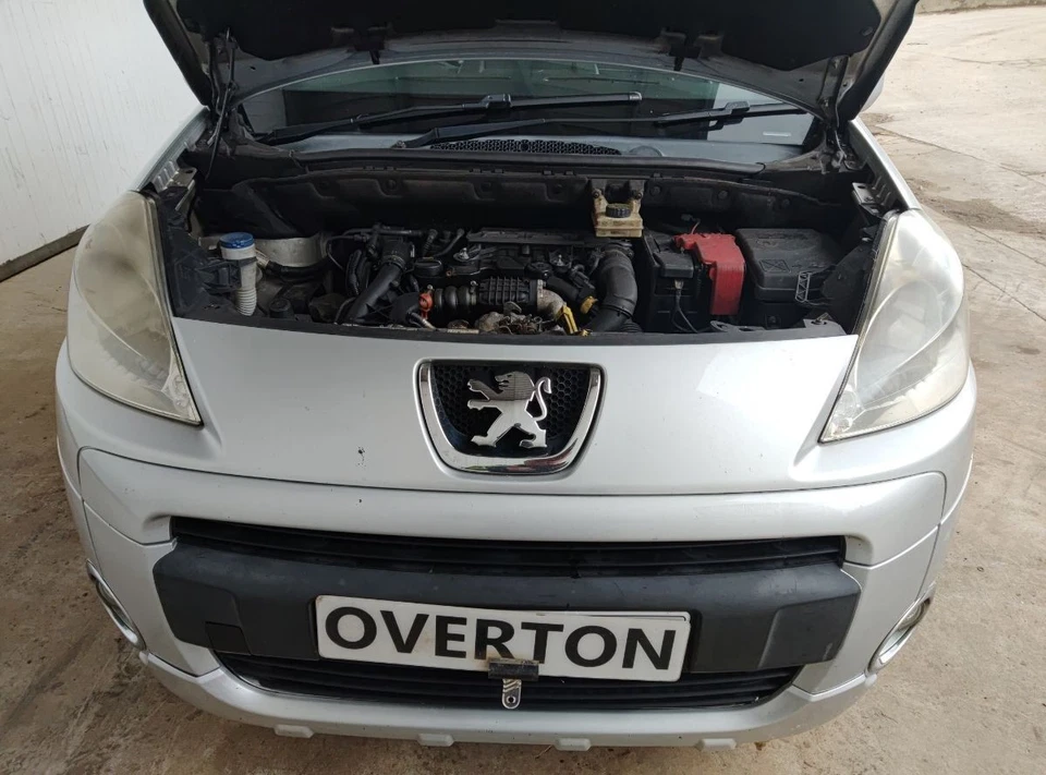 PEUGEOT PARTNER TIPI PARASOL DELANTERO IZQUIERDO 8163EZ Foto 4 de 4