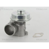 Agr-Ventil Triscan 8813 16010 FüR Ford