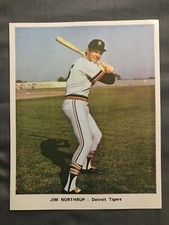   7 x 9 Team Issue Picture Pack Photo Jim Northrup Detroit Tigers NrMt 