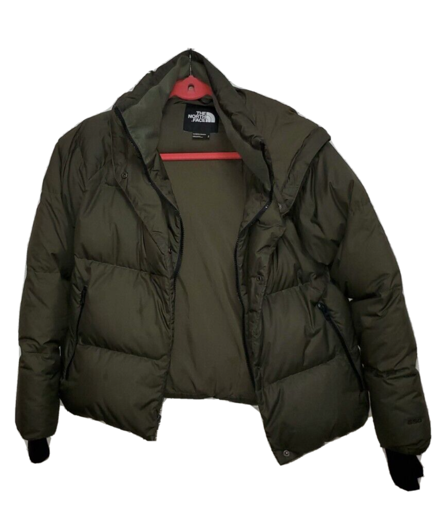 The North Face Dealio Down Hooded 550 Short Puffer Jacket Zip  