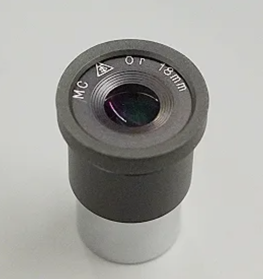 標本 Odontolabis nobuhikoi rare 24mm Odontolabis nobuhikoi rare