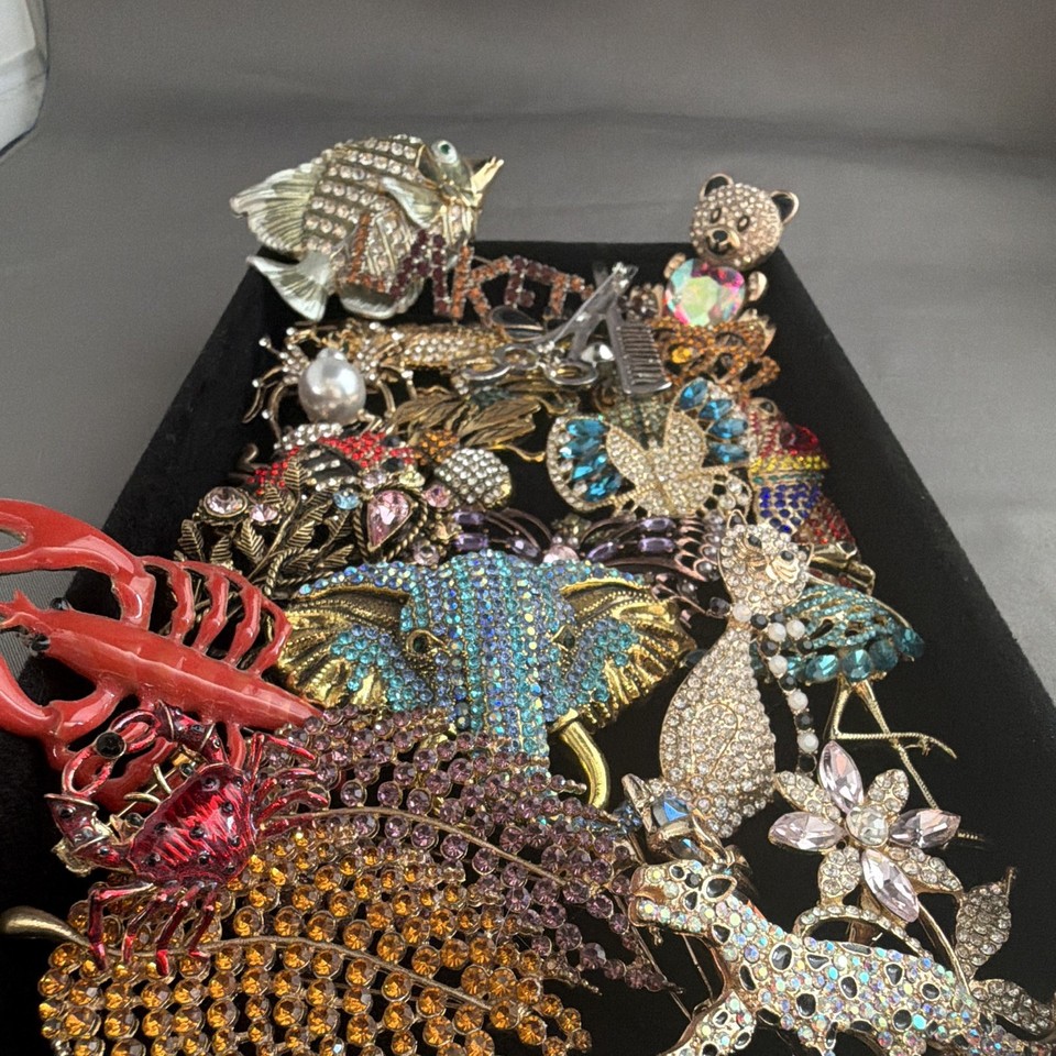 A Lot Of Modern Brooches With Lots Of Bling And Colors | eBay