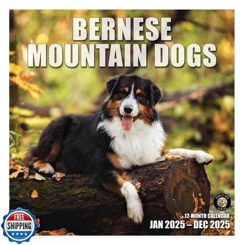 RED EMBER Bernese Mountain Dogs 2025 Wall Calendar 12 Month | 12" x 24 ...