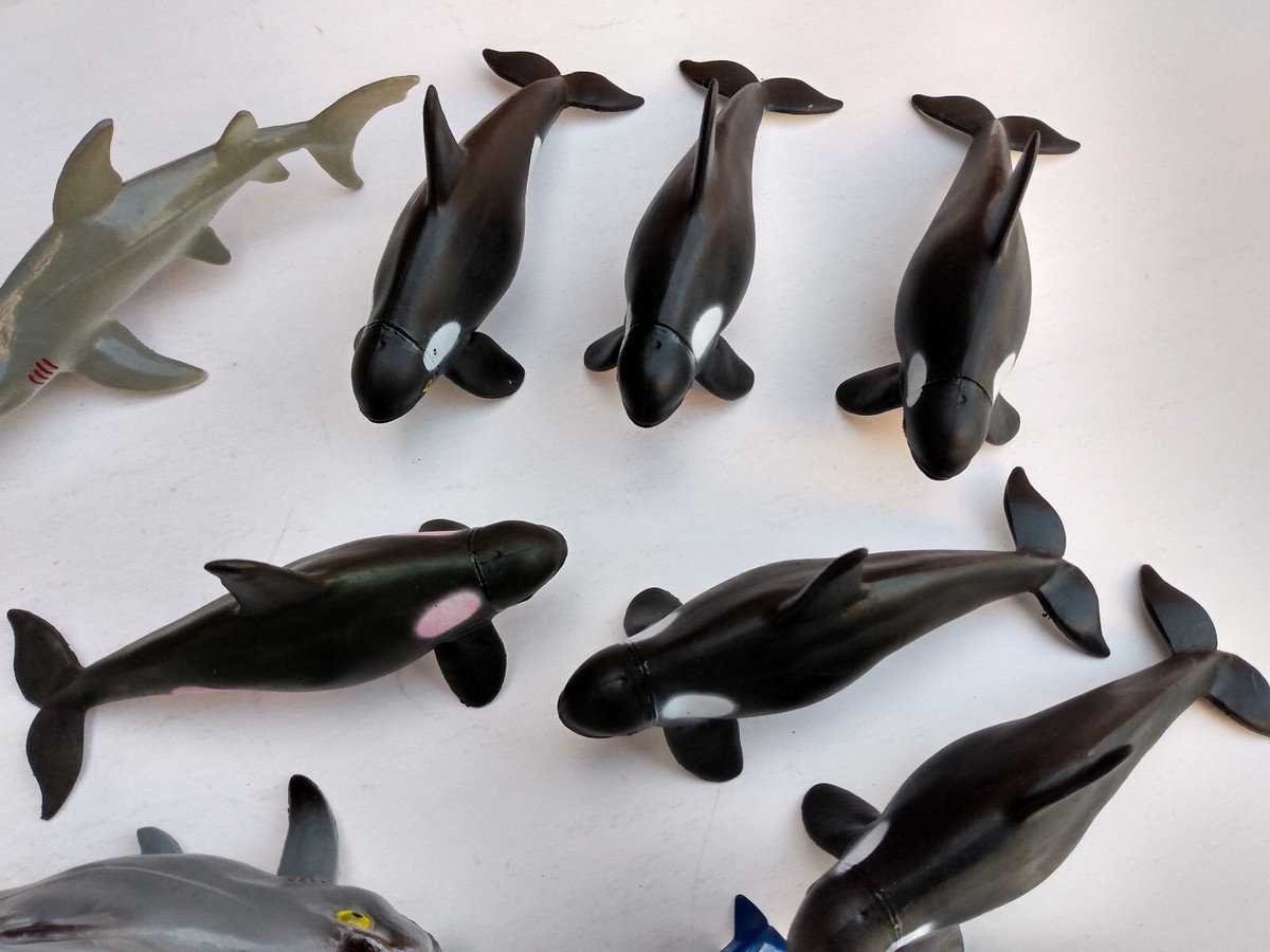 Whale Pod Orca Killer Whale Adult Calf Big Lot Marine Whale Pod Orca Killer Whale Adult Calf Big Lot Marine