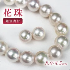 Hanadama pearl necklace 8.0-8.5mm Akoya Pearl/Certificate of Authenticity