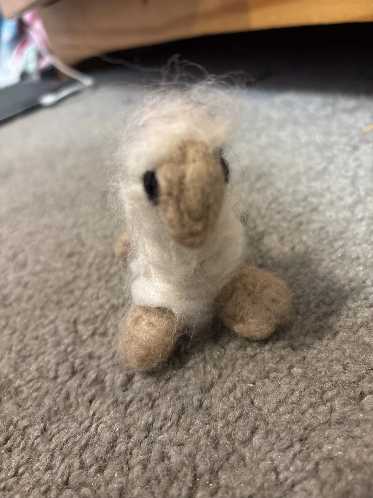 Picture 3 of 5