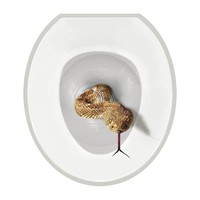 Realistic Toilet Seat Tattoo - Striking Snake - Round on sale Realistic Toilet Seat Tattoo - Striking Snake - Round on sale