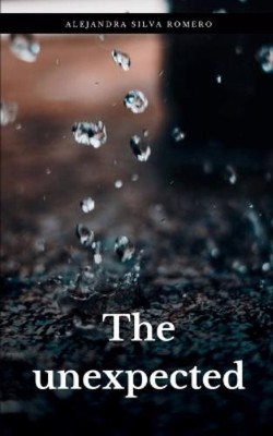 Alejandra Silva Romero The unexpected (Paperback) (UK IMPORT)