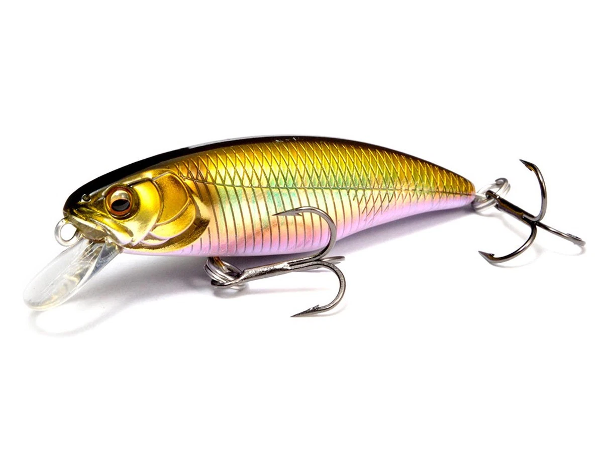 Lot De 9 Leurres Megabass Pour Achigan - Neufs, Pêche En Eau Douce, Topwater Forme Poisson