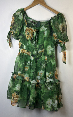 Zara Basic Womens medium fairy romantic bohemian victorian green mini dress