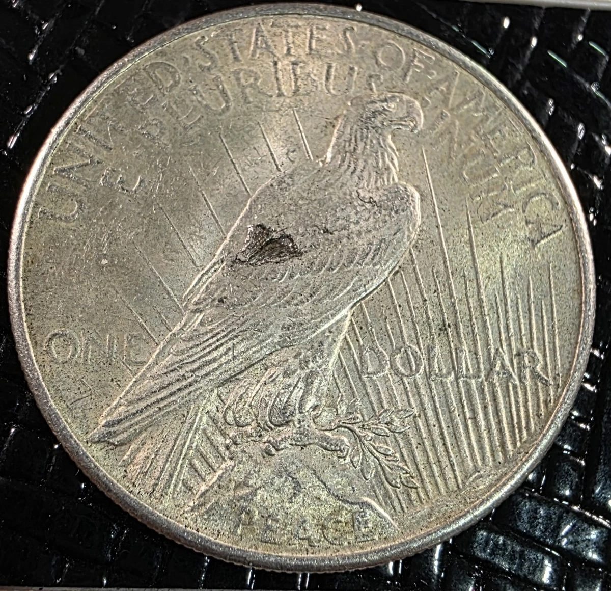 和平美元银色1925 年美国硬币错币| eBay