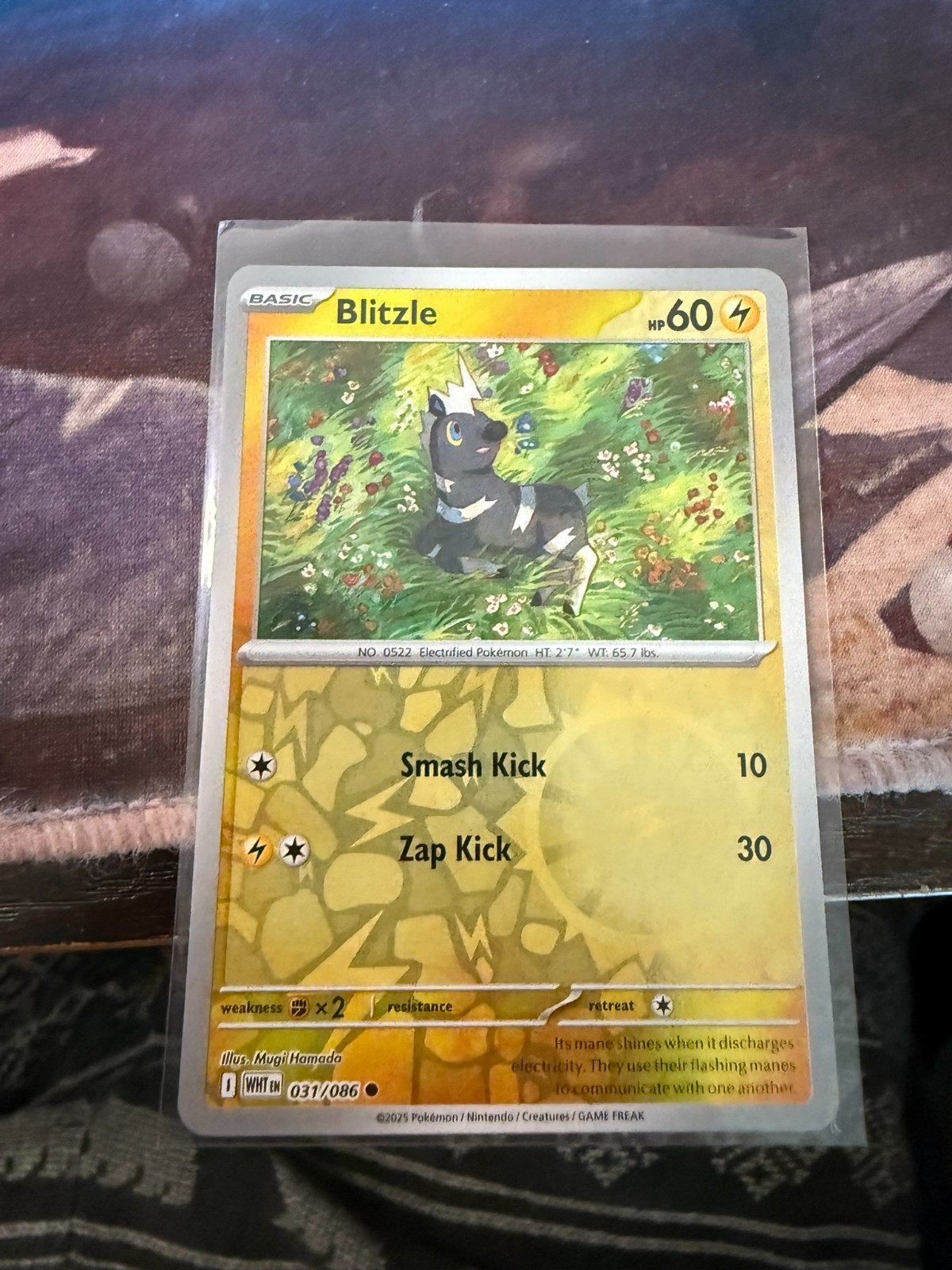 Blitzle 031/086 Sv: White Flare Reverse Holo