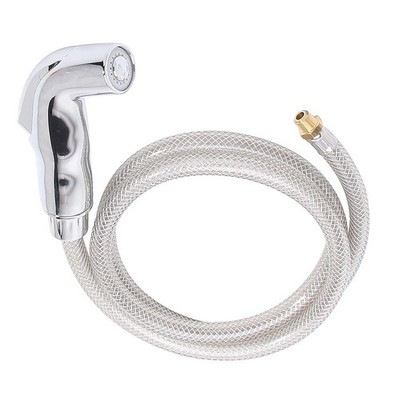 PPG 42688C for PlumbMaster Chrome Spray Head And Hose Essence Two Handle