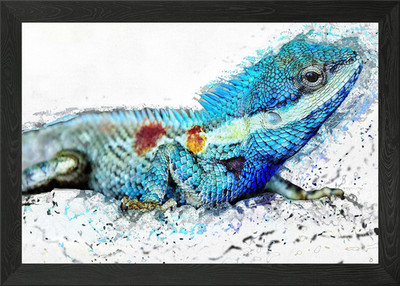 Amplify Chamäleon Gerahmtes Wandbild Poster Leinwanddruck Bild