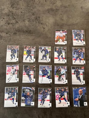 DEL Trading Cards Straubing Tigers Playercards Eishockey Top Zustand 2025-2026