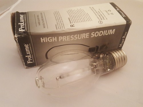 ProLume Lamp LU100 #208124 S54 High Pressure Sodium Mogul Base Commercial Bulb