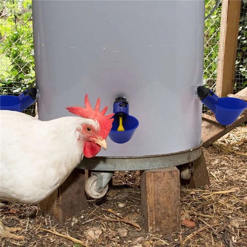 10x Drinker Chicken Automatic Cup Water Feeder Waterer Poultry Chook Birds-tool