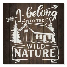 I Belong to Nature Inpiration Camping Rustic Looking Wood Sign B3-12120061008