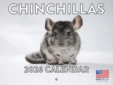 Chinchilla Calendar 2026 Monthly Wall Calender 12 Month 12x18