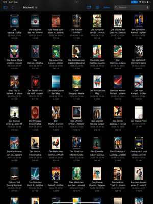 100 E-Book s, E-Book für Tolino, Kindle im PDF-Format / Per download-Link