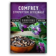 Comfrey Seeds for Planting - Symphytum Officinale Medicinal green, purple