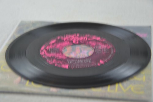 ERANGA & PRIANGA - For You We Sing / Let Love Live - Globel Records 22537-5 N 7" - Picture 5 of 8