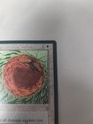 Picture 3 of 10