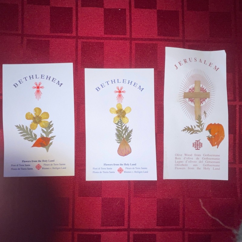 BETHLEHEM/JERUSALEM Holy Cards/Bookmarks w/Pressed Flowers Holy Land - Lot of 3