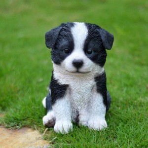 All Line Sitting Border Collie Puppy 6 75 White 738362044416 Ebay